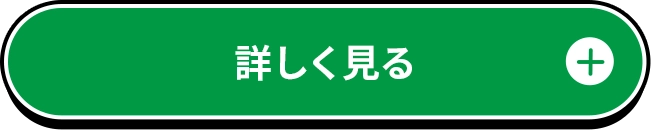 詳しく見る